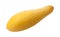 Yellow Squash Isolated with clipping path