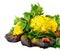 Yellow Squash Pattypan with different lettuce, water-cress, spin