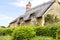 Yellow stone English cottage with thatched roof