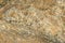 Yellow stone texture, granite surface. Colored rock pattern background.