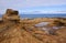 Yellow stones on the Arctic Coast