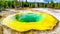 Yellow sulfur mineral deposits around the green and turquoise waters of the Morning Glory Pool in Yellowstone