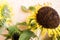 Yellow Sunflower Bouquet on Background. Closeup round bright beautiful yellow fresh sunflower