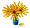 Yellow sunflower fresh in ceramic vase, photo manipulation