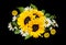 Yellow sunflowers, daisies and green leaves in a floral arrangement isolated