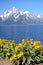 Yellow sunflowers frame a blue lake and snow capped mountains.