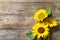 Yellow sunflowers on wooden background,