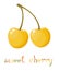 Yellow Sweet Cherry