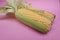 Yellow Sweet Corn on a Pale Pink Background
