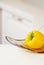 Yellow sweet pepper on kitchen\'s table