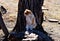 A yellow tabby cat sitting on a rock after he rolled in some dirt.