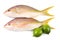 Yellow Tail Snappers and Limes