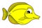 Yellow tang fish