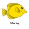 Yellow Tang Saltwater Aquarium Fish illustration