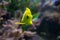 Yellow tang Zebrasoma flavescens from the Acanthuridae family