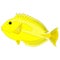 yellow tang, Zebrasoma flavescens, also known as the lemon sailfin, yellow sailfin tang graphic illustrations