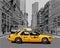 Yellow Taxi in the city street