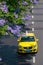 Yellow taxi  and Purple jacaranda tree blooming in Sping sunny day