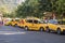 Yellow taxi in Turkey, the city of Alanya. Lots of parked taxis. Travel to Turkey.