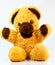 Yellow teddy bear