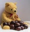 A yellow teddy bear with a pile of conkers