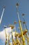 Yellow telescopic cranes under a blue sky