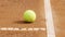 Yellow tennis ball lying on court, professional sport, active hobby, close-up