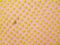 Yellow tennis ball pattern on pink