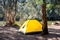 Yellow tent at the campsite surrounding by nature on the river bank