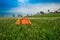 Yellow tent Field Wonderful Land