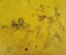 Yellow textural background made of metal