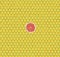 Yellow texture of lemon slices and red grapefruit. Citrus pattern. Sour background