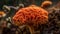 Yellow toadstool spore on wet autumn leaf generated by AI