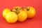 Yellow Tomato