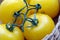 Yellow tomatoes 1