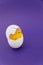 Yellow toy chicken hatching from egg shell on a purple background