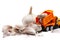 A yellow toy dump truck with garlic on white background