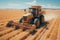 Yellow Tractor harvests in the field in summer, aerial view