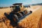 Yellow Tractor harvests in the wheat field in summer, aerial view