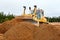 A yellow tractor levels the site with sand