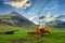 A yellow tractor is parked in a meadow on an Icelandic rural farm