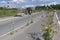 Yellow tractor removes garbage on the highway and yellow flowers grow on the sidewalk