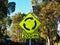 Yellow Traffic Sign, Roundabout Ahead, Australia