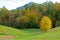 A yellow tree, sloping green grass, and background mountains.