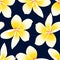 Yellow tropical Frangipani Plumeria floral seamless pattern