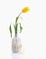 Yellow tulip in white bottle