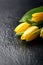 Yellow tulips on a black stone background with water droplets