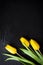 Yellow tulips on a black stone background with water droplets