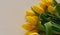 Yellow tulips flat lays on white canvas background