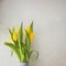 Yellow tulips fresh bright in a vase on a white gray textural background